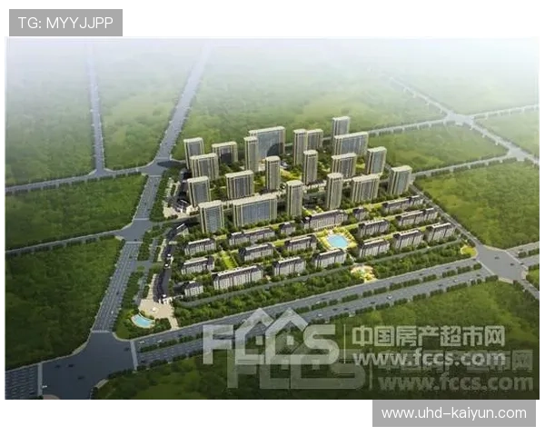 足球纪念品市场动态分析，收藏价值评估方法